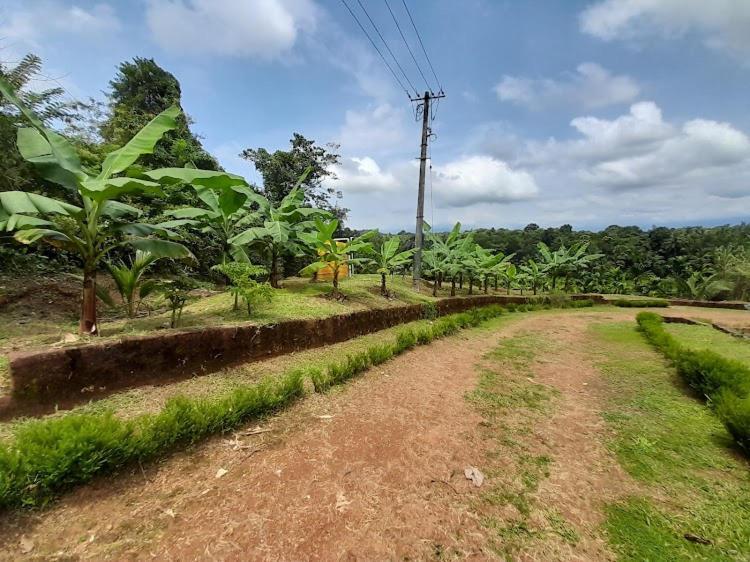 Nisarga Homestay, Dharmasthala Dharmastala Eksteriør bilde